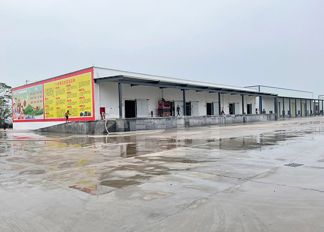 大型全自動制冰機被廣泛應(yīng)用于冷鏈物流、漁業(yè)加工、夏季降溫等